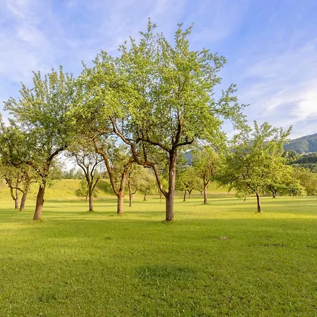 营地 3 Rivers Pitches - Bring Your Own Tent Or Camper & Glamping Hut, Tent *