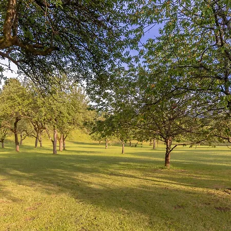 营地 3 Rivers Pitches - Bring Your Own Tent Or Camper & Glamping Hut, Tent