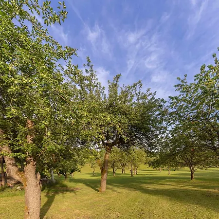 3 Rivers Pitches - Bring Your Own Tent Or Camper & Glamping Hut, Tent