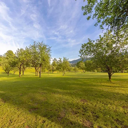3 Rivers Pitches - Bring Your Own Tent Or Camper & Glamping Hut, Tent * 拉多夫吉卡